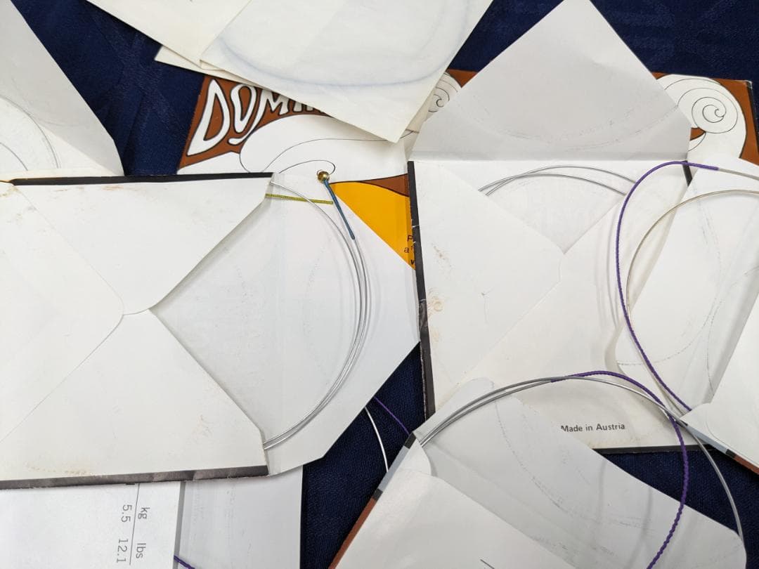 バイオリン弦 計10本　ドミナントとシノクサ