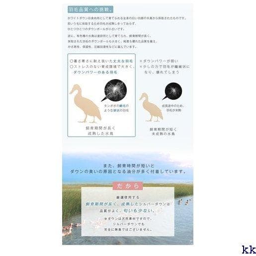 夏布団 贅沢なダウン90％ 羽毛布団 夏用 羽毛布団 洗える 4