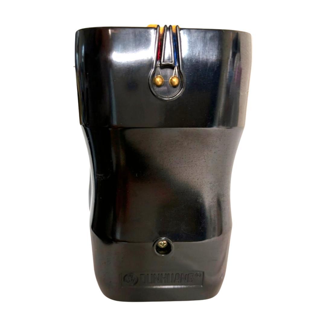 ⭐️美品⭐️二胡　蛇皮　上海民族楽器　ハードケース付き　蛇革