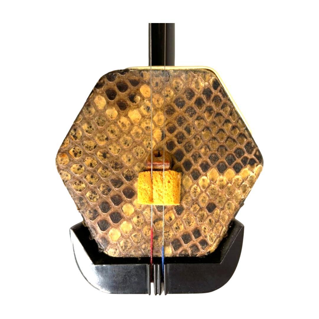 ⭐️美品⭐️二胡　蛇皮　上海民族楽器　ハードケース付き　蛇革