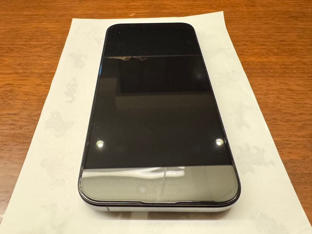 Apple iPhone 15 Pro Max 香港 物理SIM 2枚