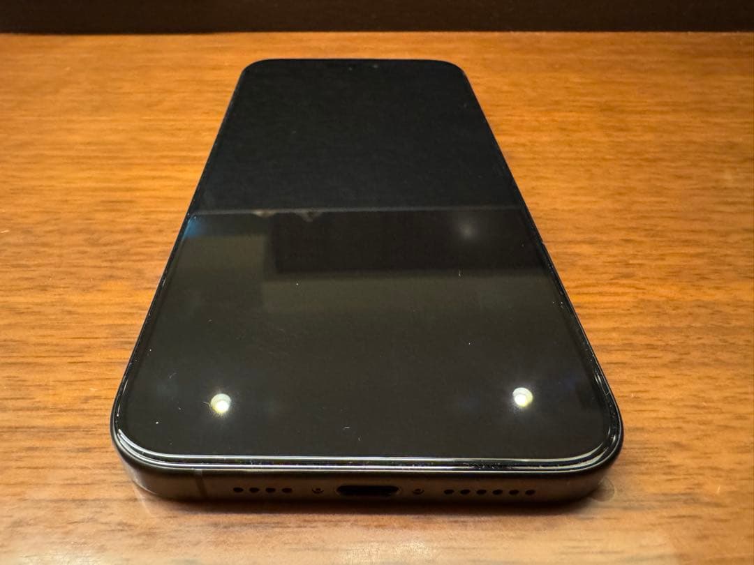 Apple iPhone 15 Pro Max 香港 物理SIM 2枚