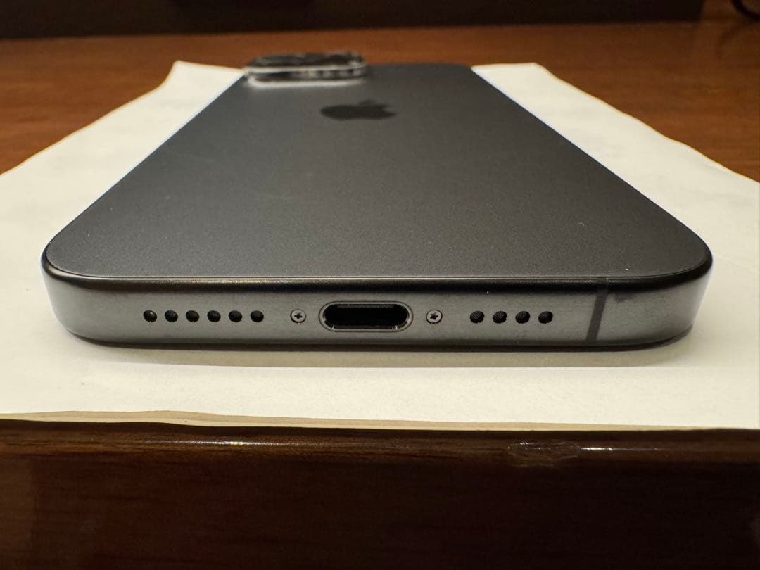 Apple iPhone 15 Pro Max 香港 物理SIM 2枚