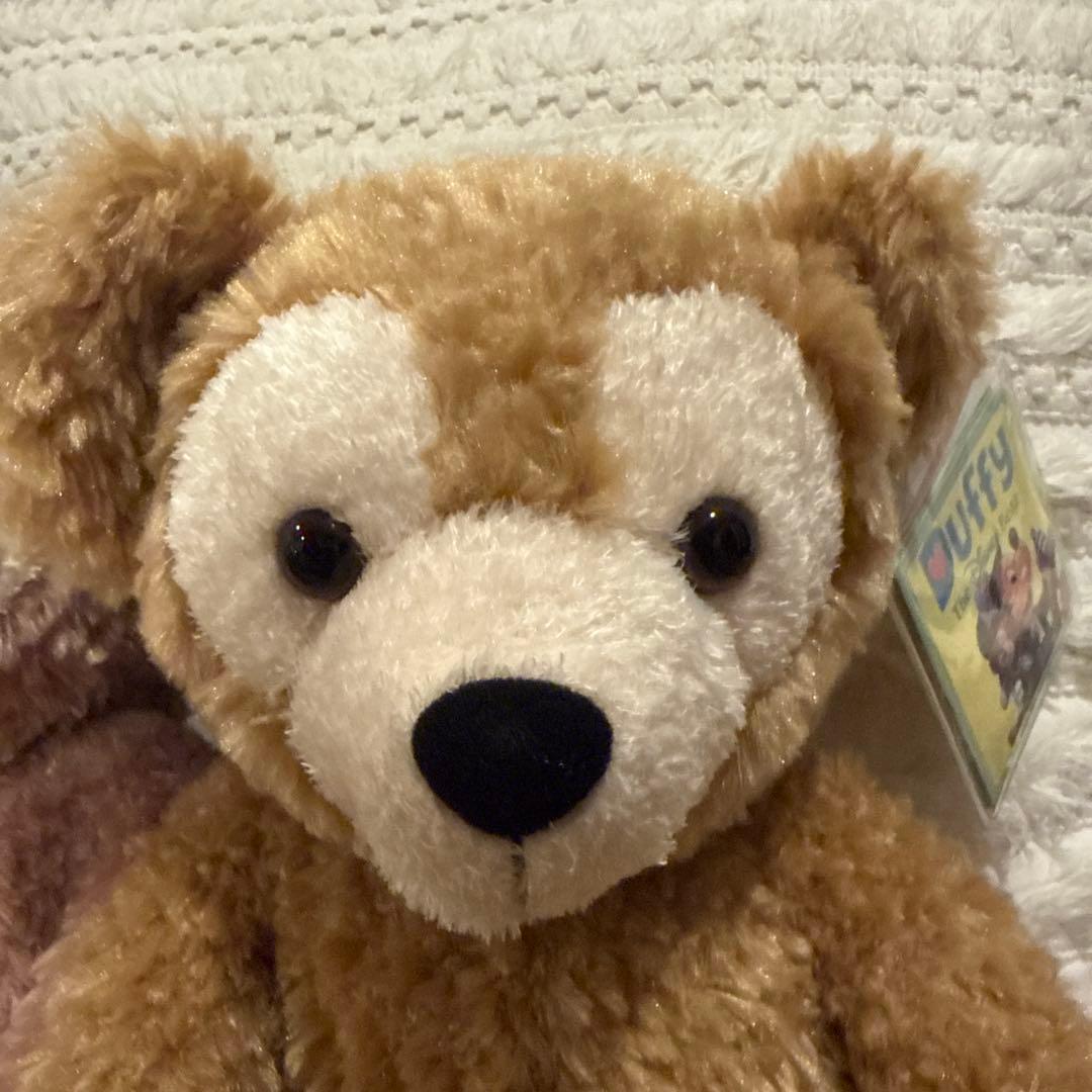 ⚫︎新品未使用⚫︎ ダッフィー　シェリーメイ　ぬいぐるみ　2体セット