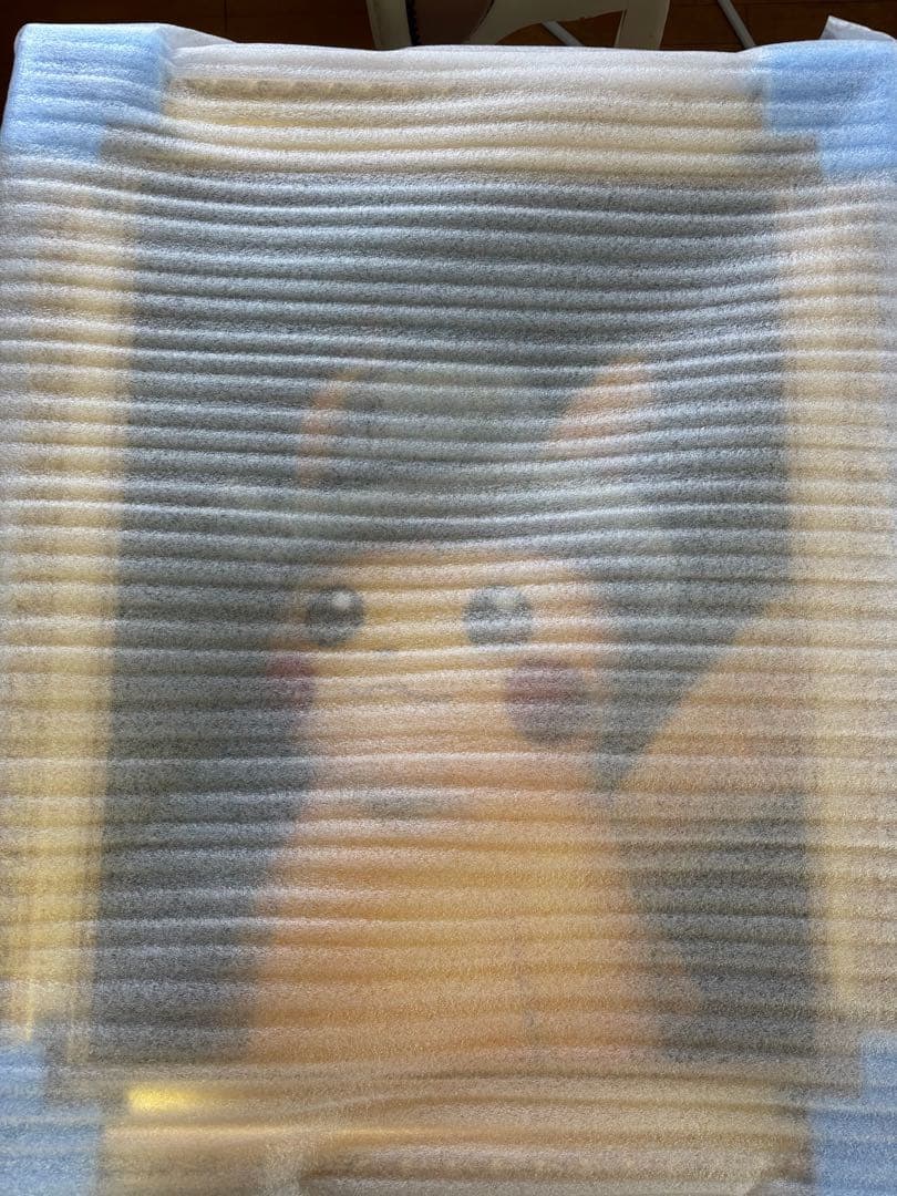 ゴッホピカチュウ キャンバスアート 金枠 Mサイズ（65cm×50cm）証明書付