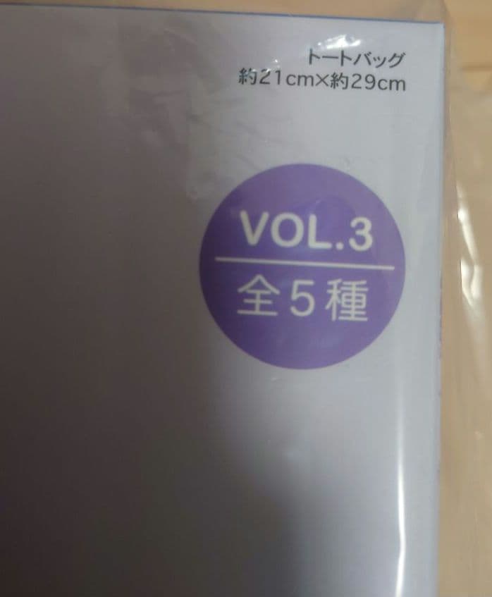 東京ディズニーリゾート　ミニトートバッグ　アトラクション