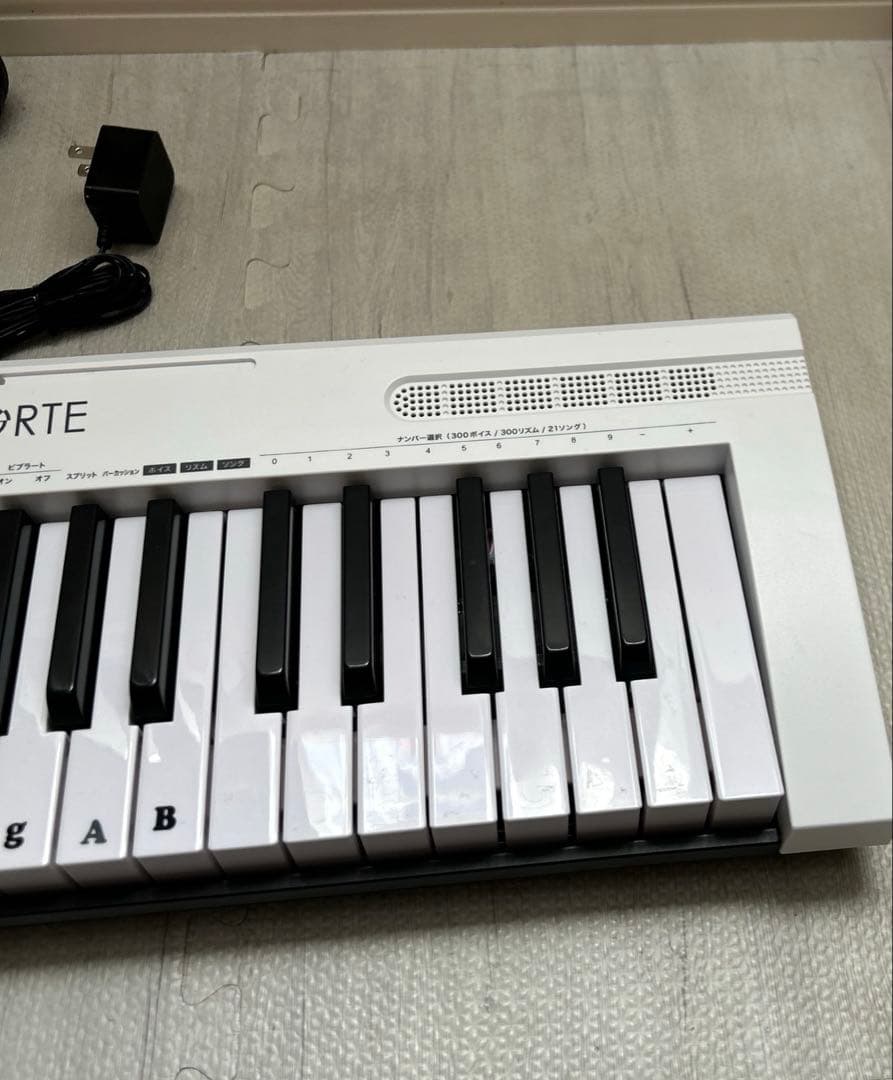 TORTE 電子キーボード 61鍵盤 TSDK-61 300ボイス