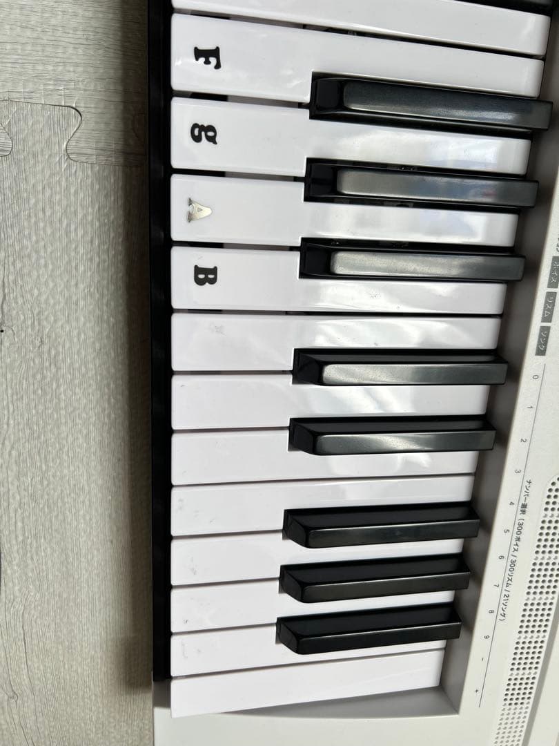 TORTE 電子キーボード 61鍵盤 TSDK-61 300ボイス