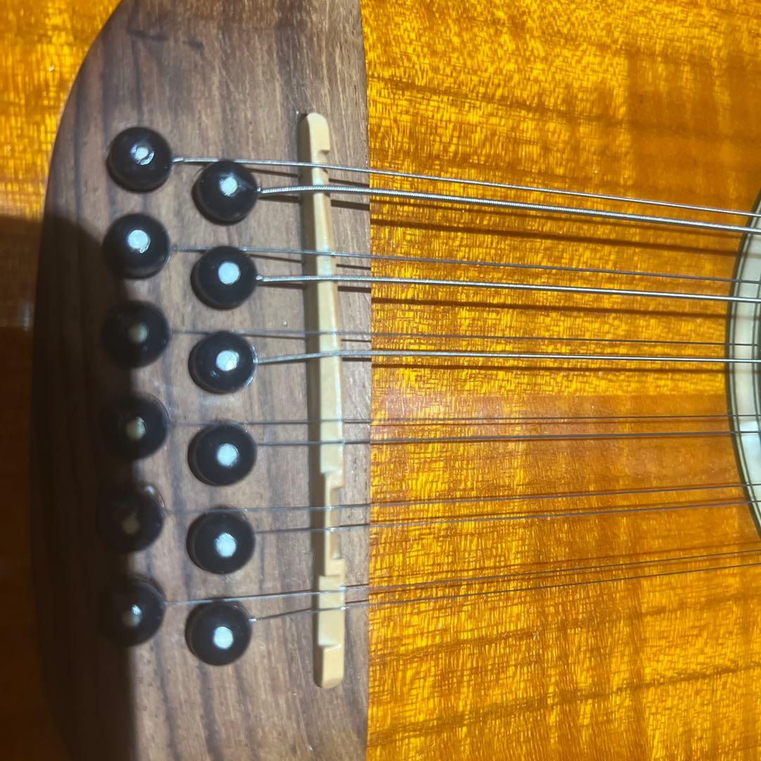 Aria 12弦 エレアコ FET12 KORG slimpitchおまけ