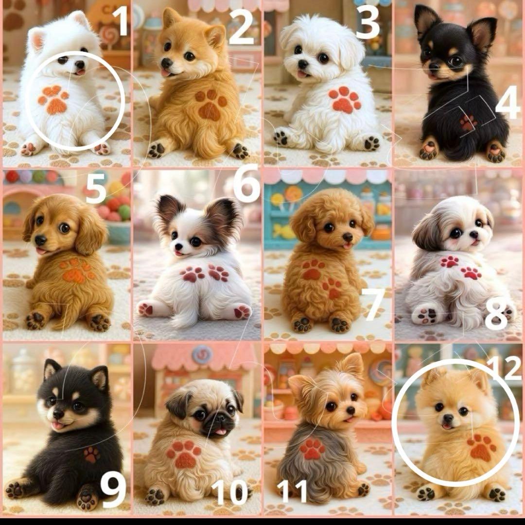 きゃんべる様 確認用