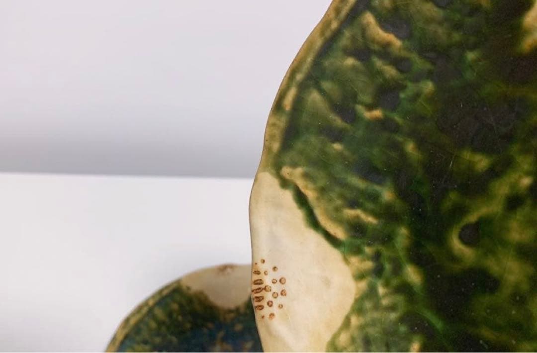 織部　白椿　和皿