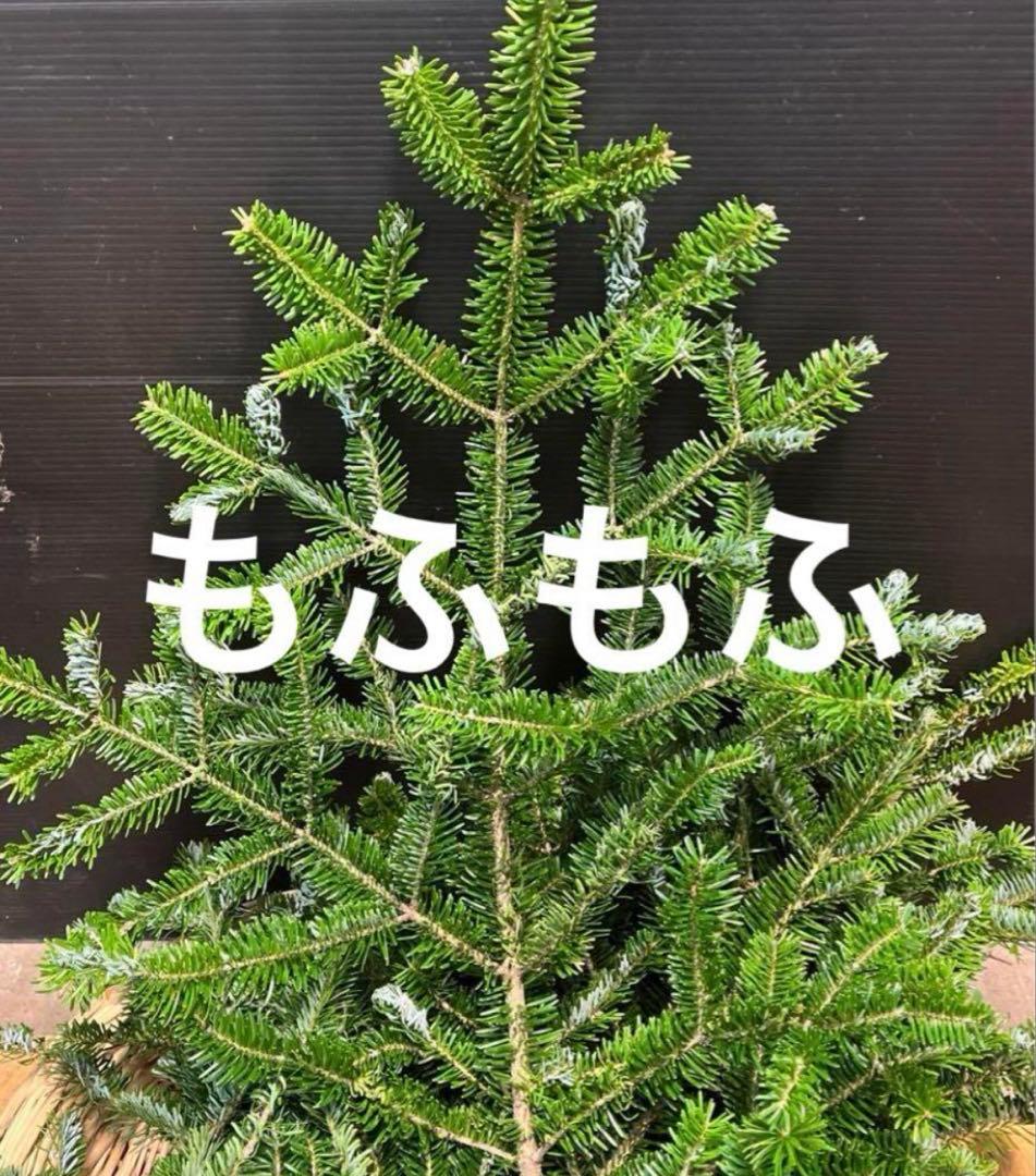 お客様ご注文品‼️１１月２４日午後着希望‼️