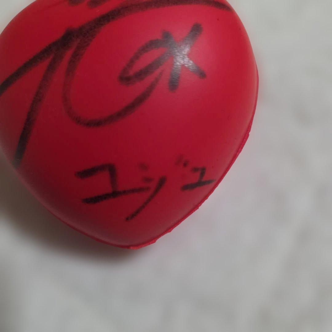 gfriend ヨチン ユジュ サインボール 10周年 コンサート