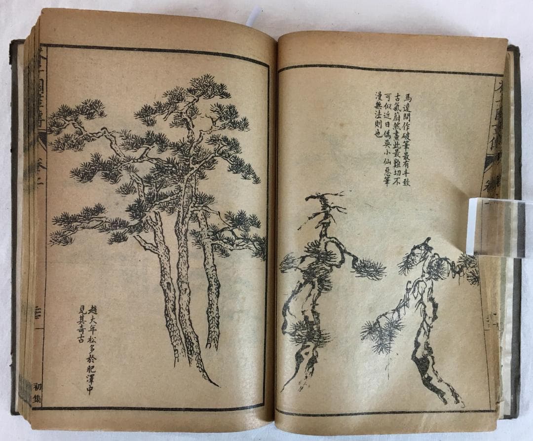 古典！[芥子園画傳・合本二冊]／中国字画／画手本