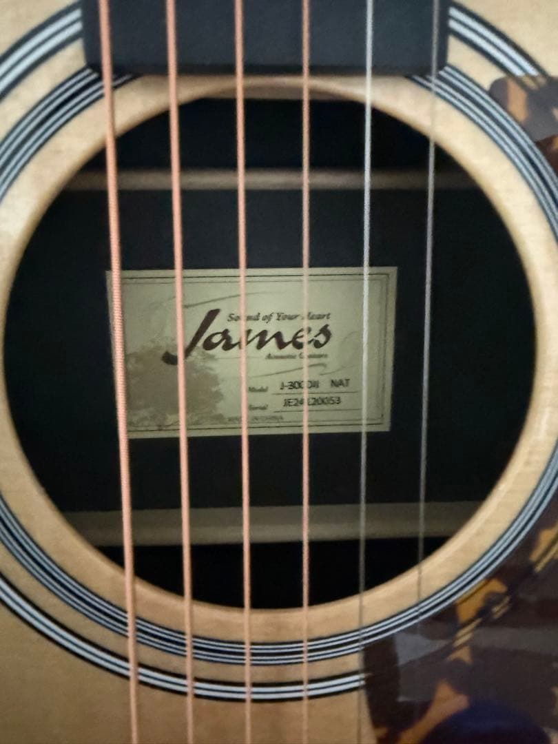 James アコースティックギター J-203 ギターケース付き