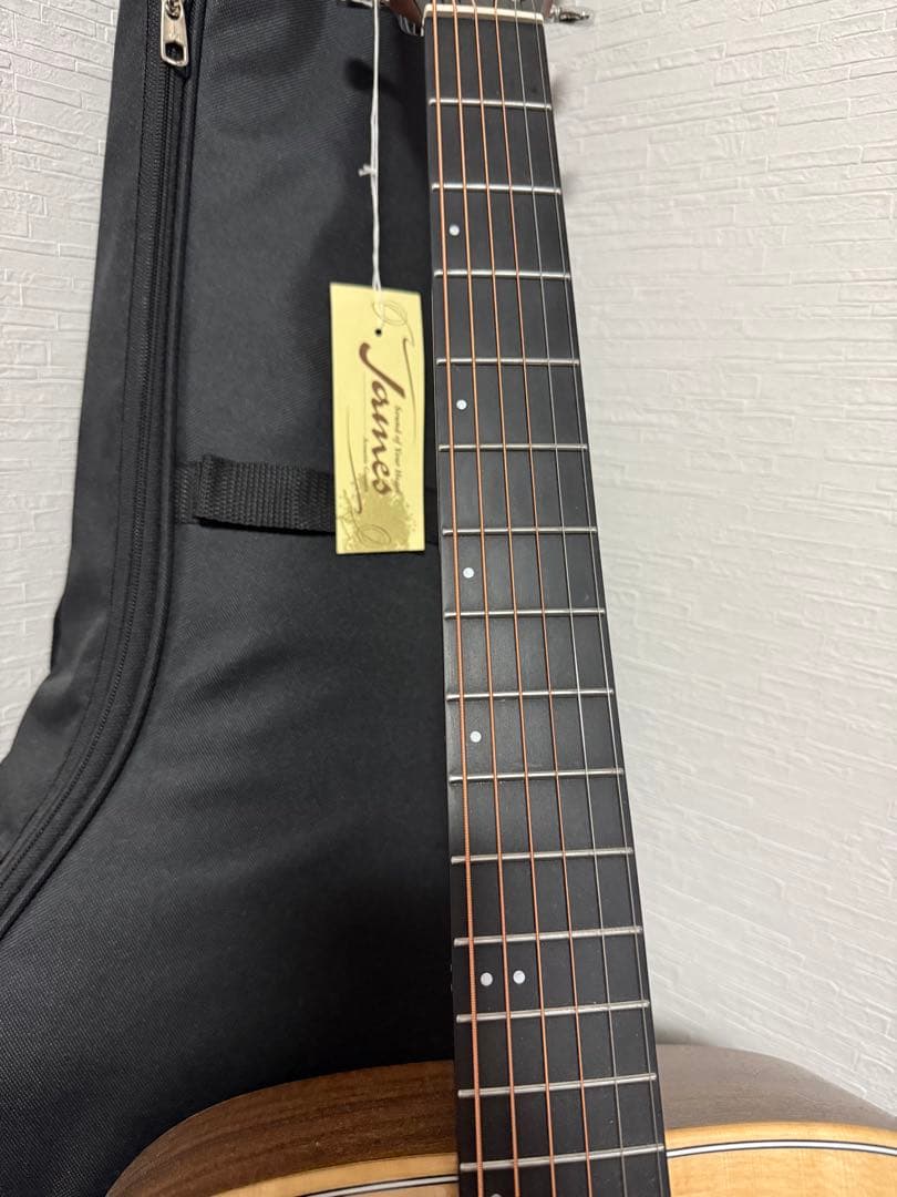 James アコースティックギター J-203 ギターケース付き