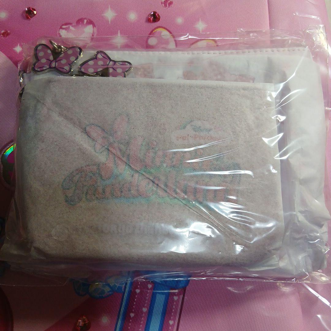 ディズニーミニーパルパルーザ ファンダーランド　ミニパル　5点セット