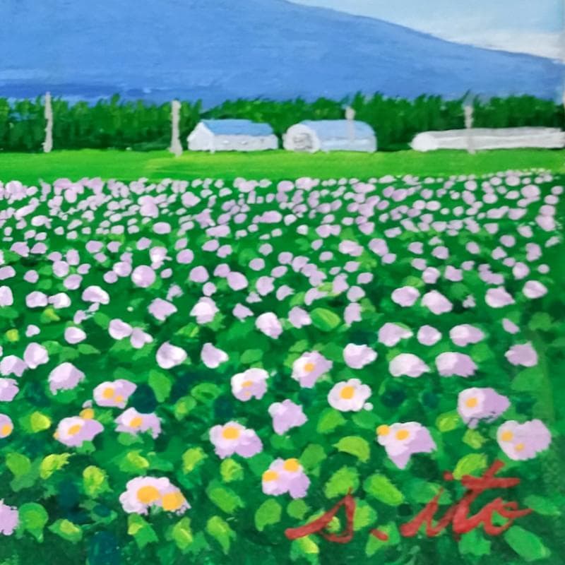 ☆伊藤正一☆「ジャガイモの花（俱知安町）」アクリル画　サイズSM