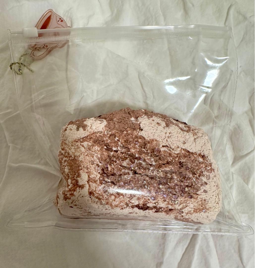 m*i様 【超レア】Ding Jingle Bellsお茶トーストスクイーズ