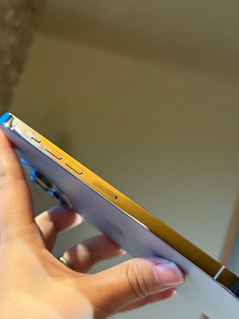 iPhone 13 Pro Max 256GB シエラブルー（ソフトバンク）