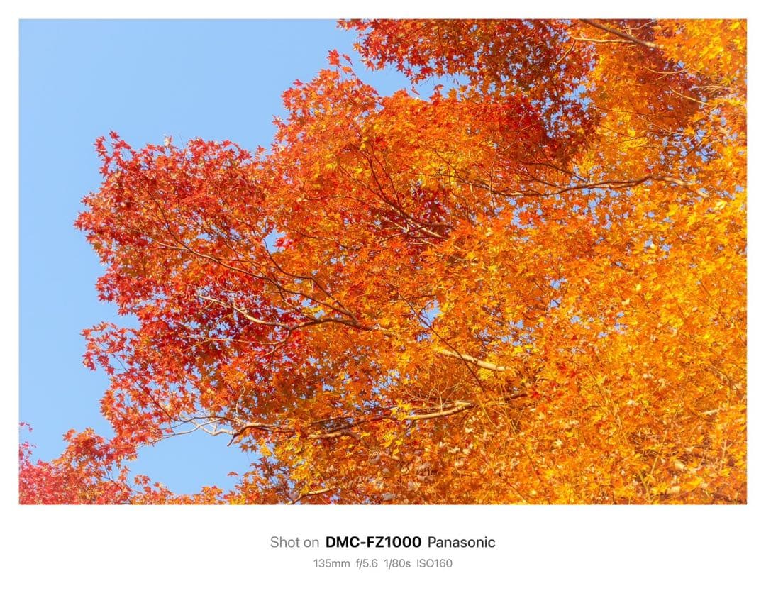 Panasonic LUMIX DMC-FZ1000 コンパクトデジタルカメラ