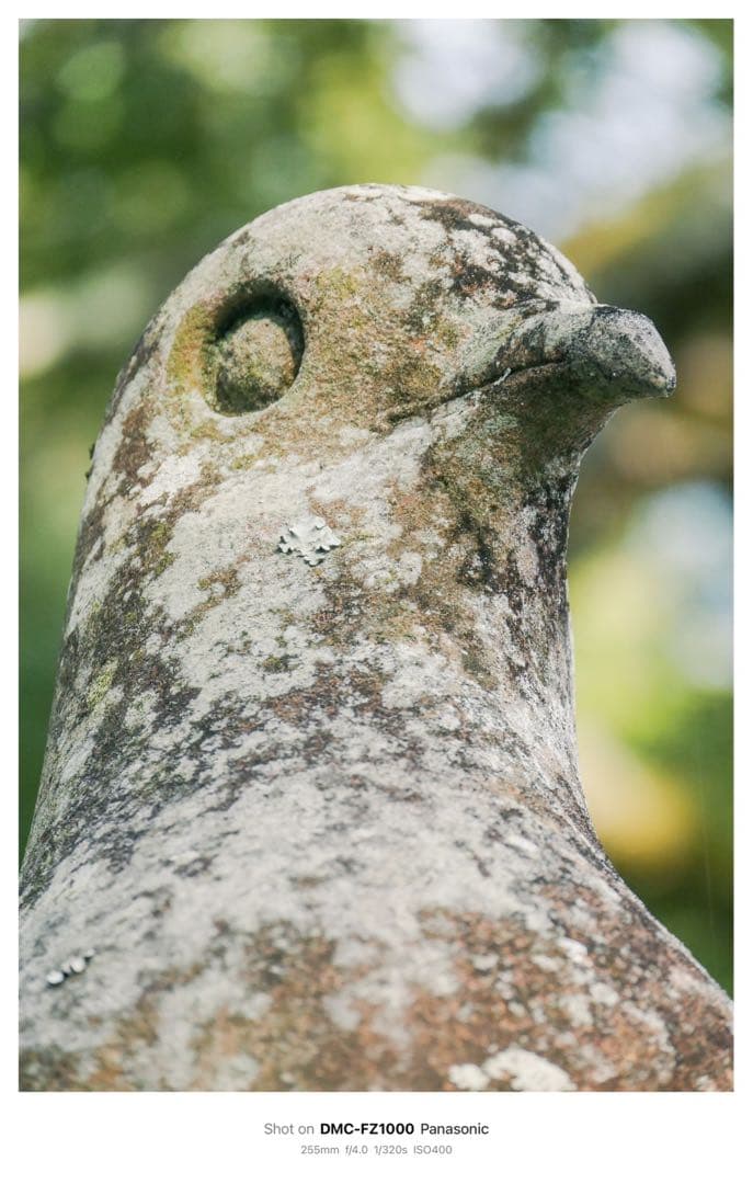 Panasonic LUMIX DMC-FZ1000 コンパクトデジタルカメラ