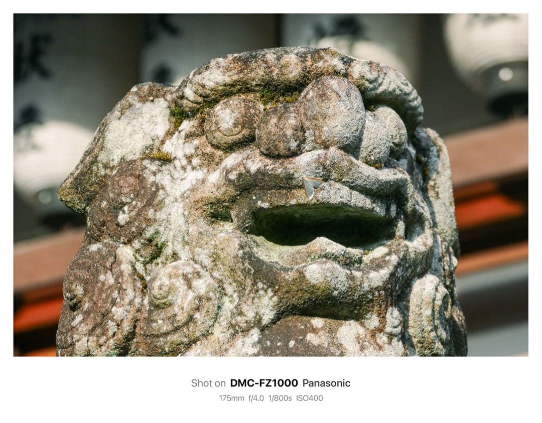 Panasonic LUMIX DMC-FZ1000 コンパクトデジタルカメラ