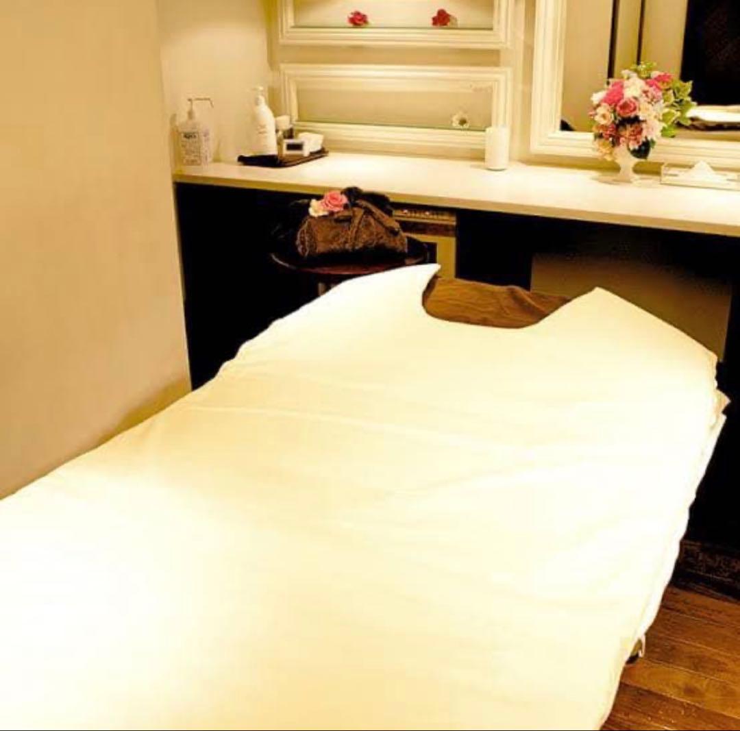 【2/28まで】SURE LINE α ヒートマット ダイエット パルティール