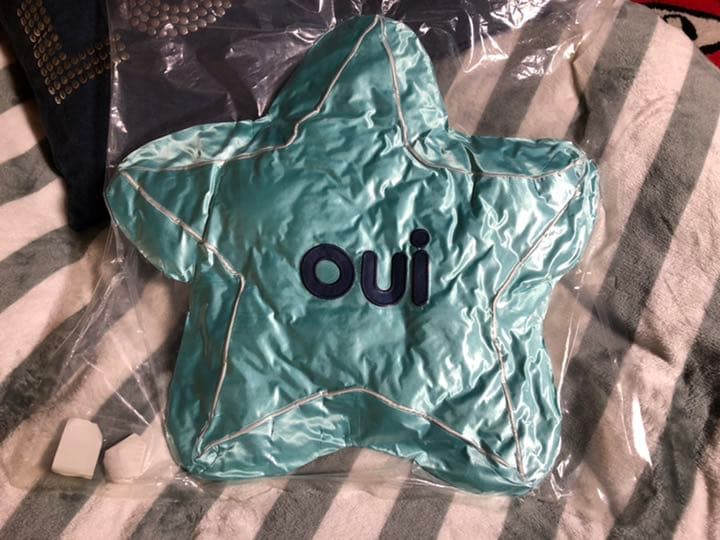 レア HOTEL SLY(ホテルスライ)YES NO星形クッション