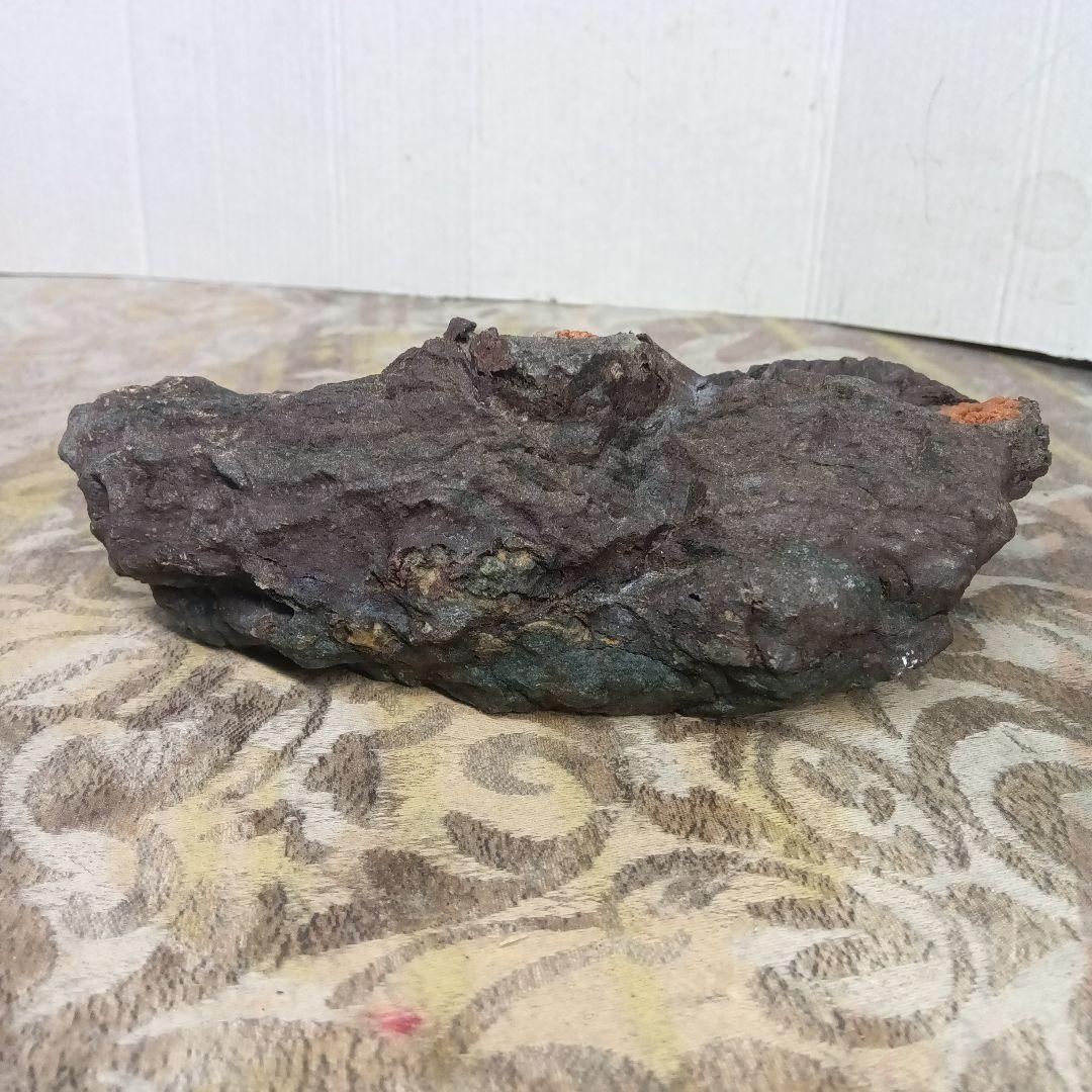 菊花石岐阜県根尾谷鉱物