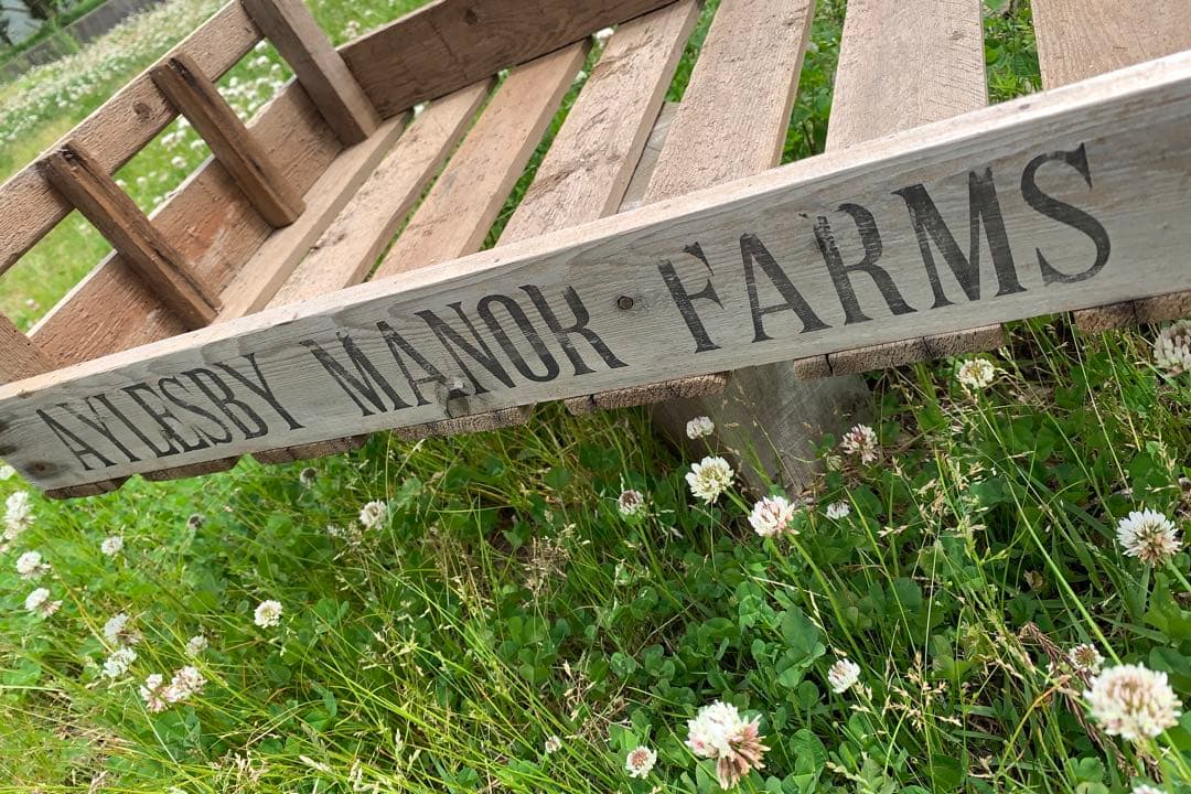 ポテトボックス