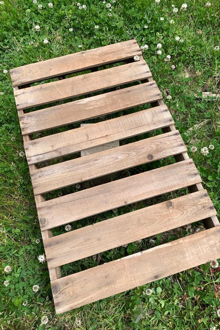 ポテトボックス