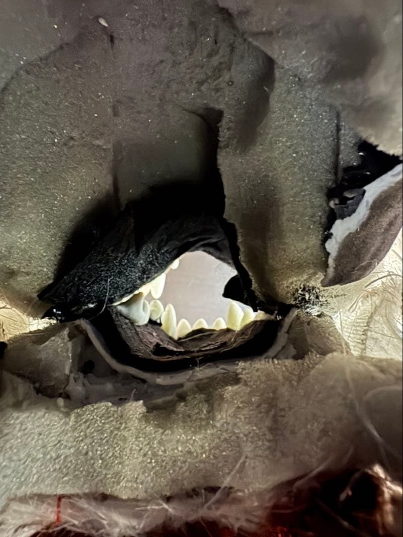 ケモノ着ぐるみ　オオカミ