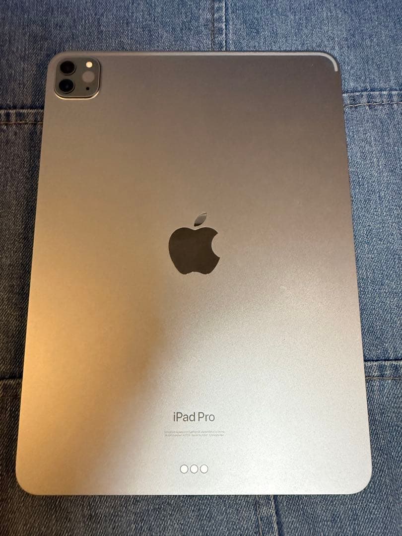 アア様第4世代iPad Pro 11インチ スペースグレー wifi 256GB