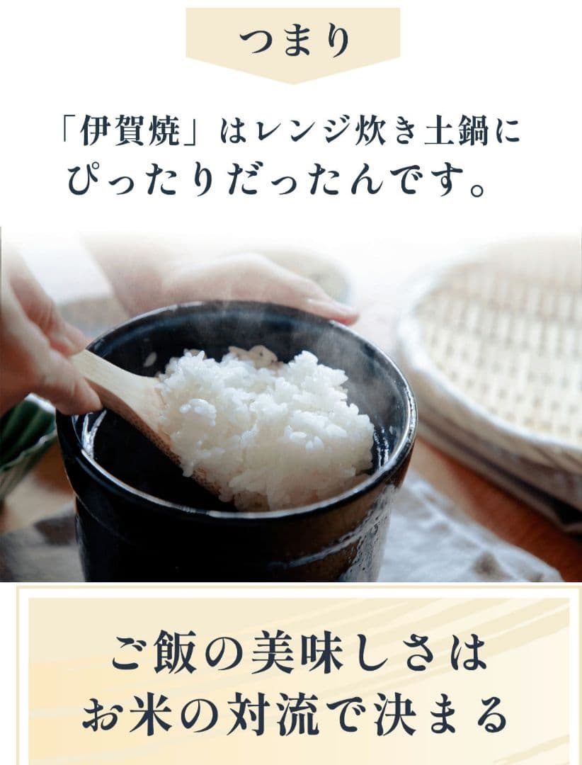 伊賀ノ匠　電子レンジ専用炊飯器0.5～1合炊き １人用