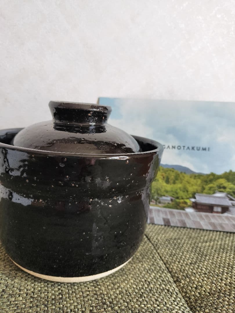 伊賀ノ匠　電子レンジ専用炊飯器0.5～1合炊き １人用