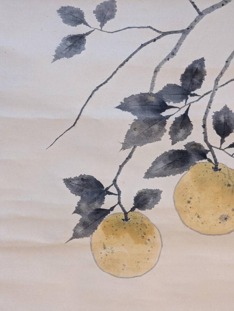 【真作】掛軸　三宝柑　静謐な果実の趣　枝に実る柚子　共箱入　V177