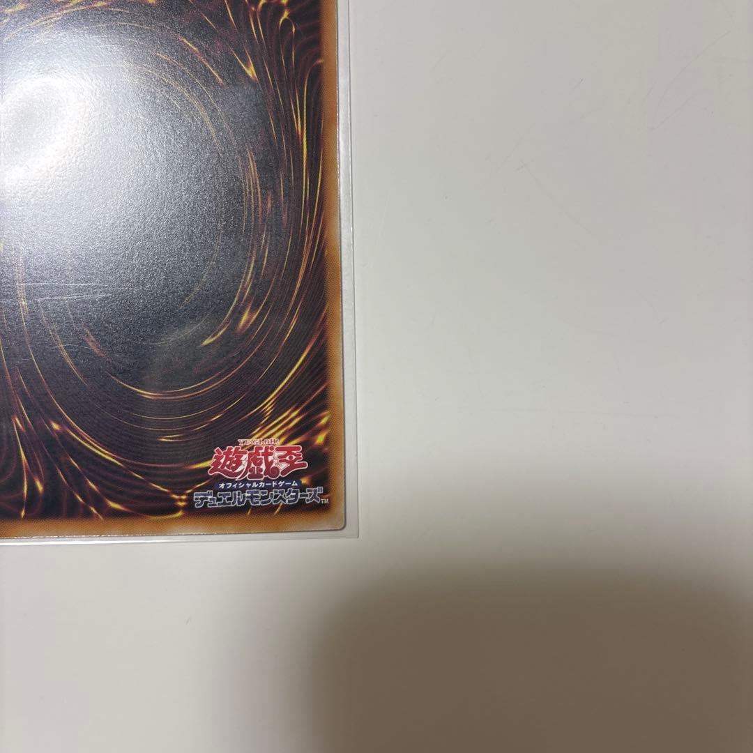 聖王の粉砕　ドミナス・パージ　匿名配送　ドミナスパージ