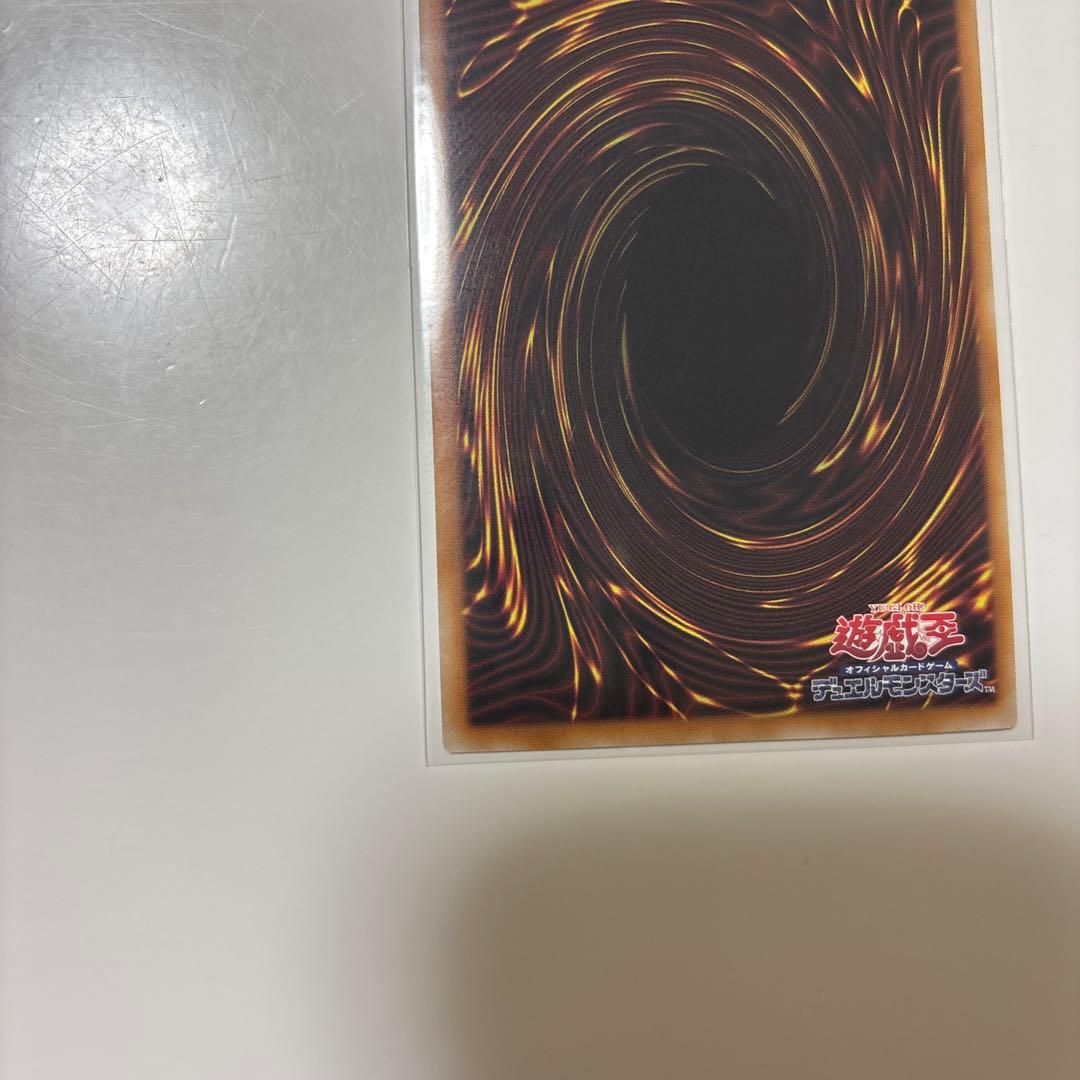 聖王の粉砕　ドミナス・パージ　匿名配送　ドミナスパージ