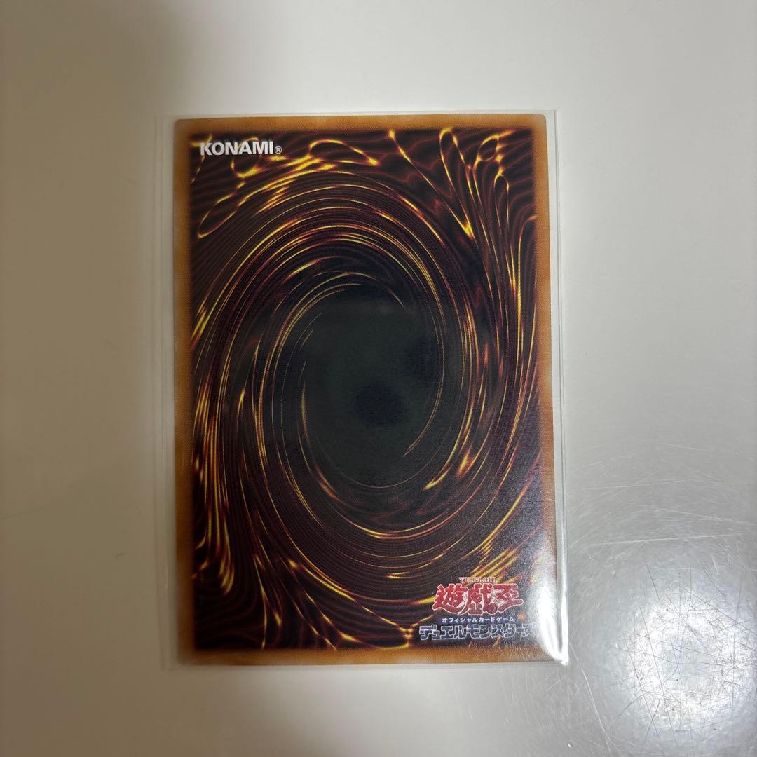 聖王の粉砕　ドミナス・パージ　匿名配送　ドミナスパージ