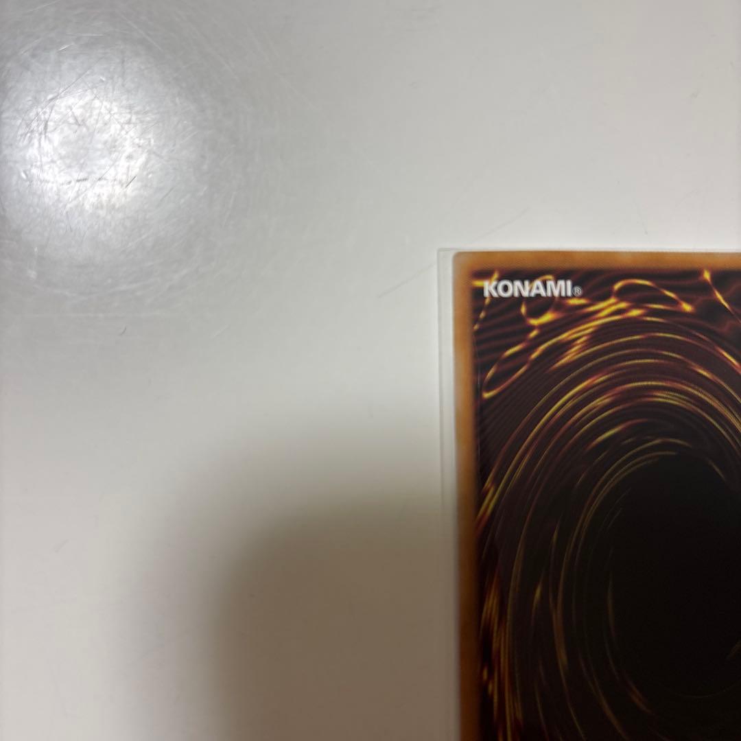 聖王の粉砕　ドミナス・パージ　匿名配送　ドミナスパージ