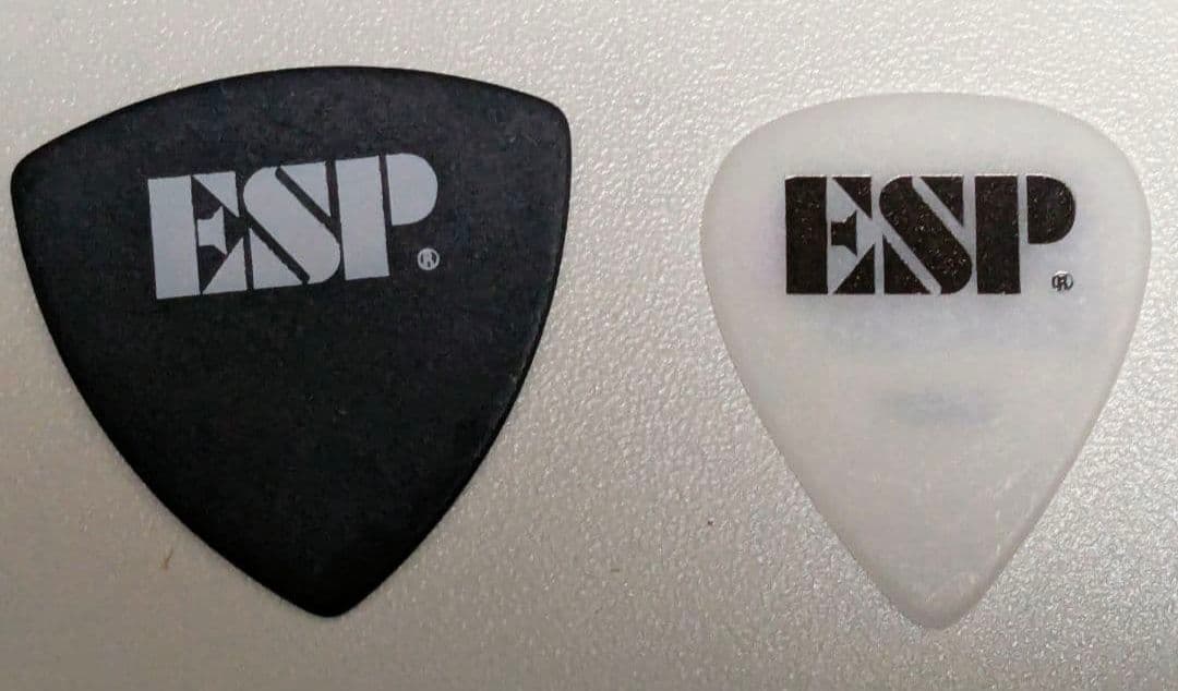 バンドリ 10th 記念ライブ 会場限定 ピック 2枚セット ESP 新品未使用