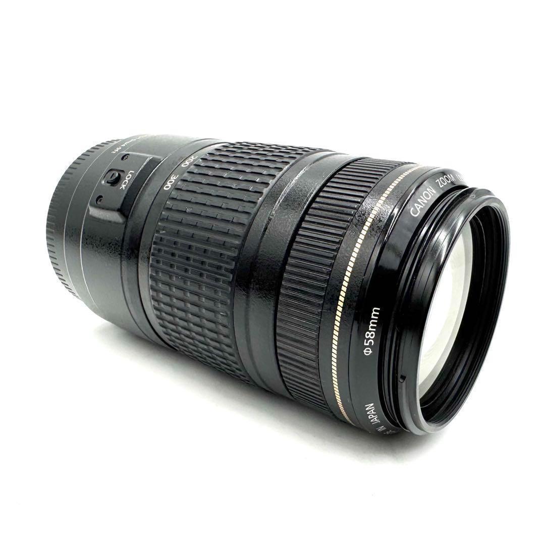Canon EF 70-300mm F4-5.6 IS USM 手ブレ補正付き