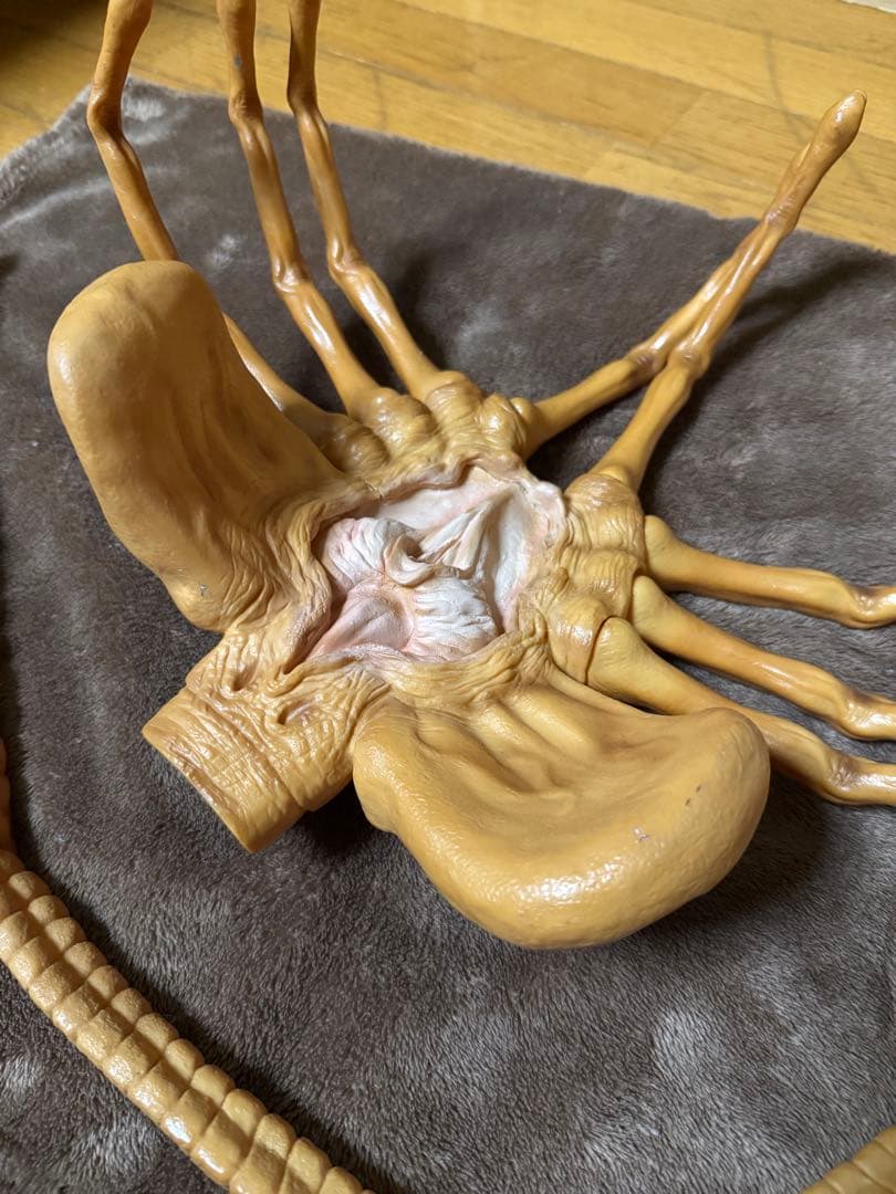 ツクダホビー フェイスハガー