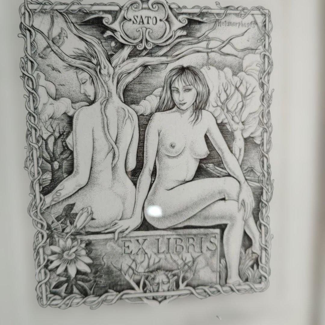 版画　作者不明サイン参照 額入り73✕32✕3センチ