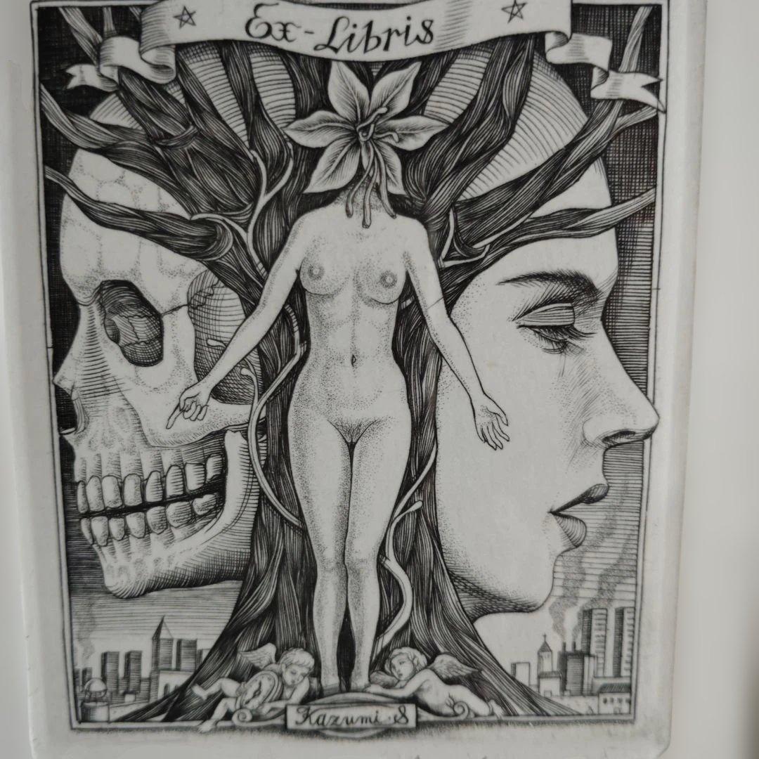 版画　作者不明サイン参照 額入り73✕32✕3センチ