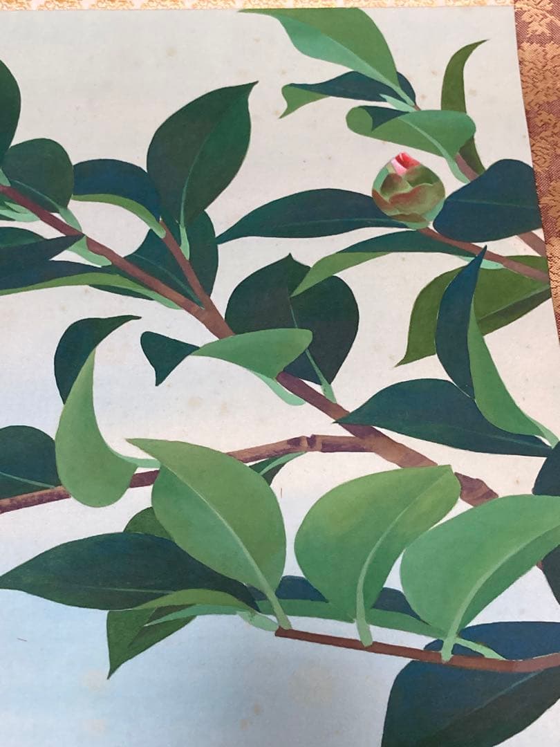 幸野豊一 真作 掛軸　獅子頭椿掛け軸　西村五雲、山口華楊に師事 加藤美術証明書