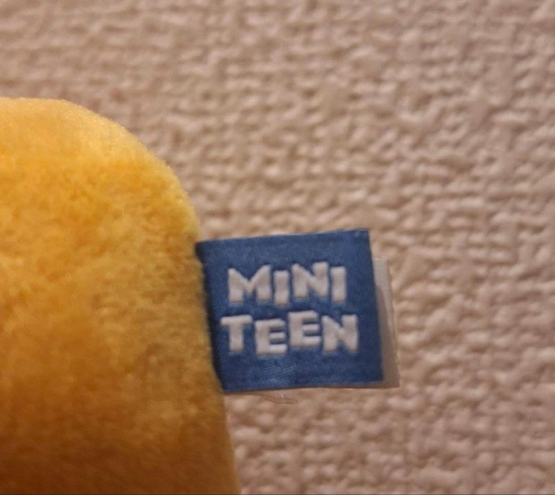 2月まで出品SEVENTEEN MINITEEN マグネットキーリング プギュリ