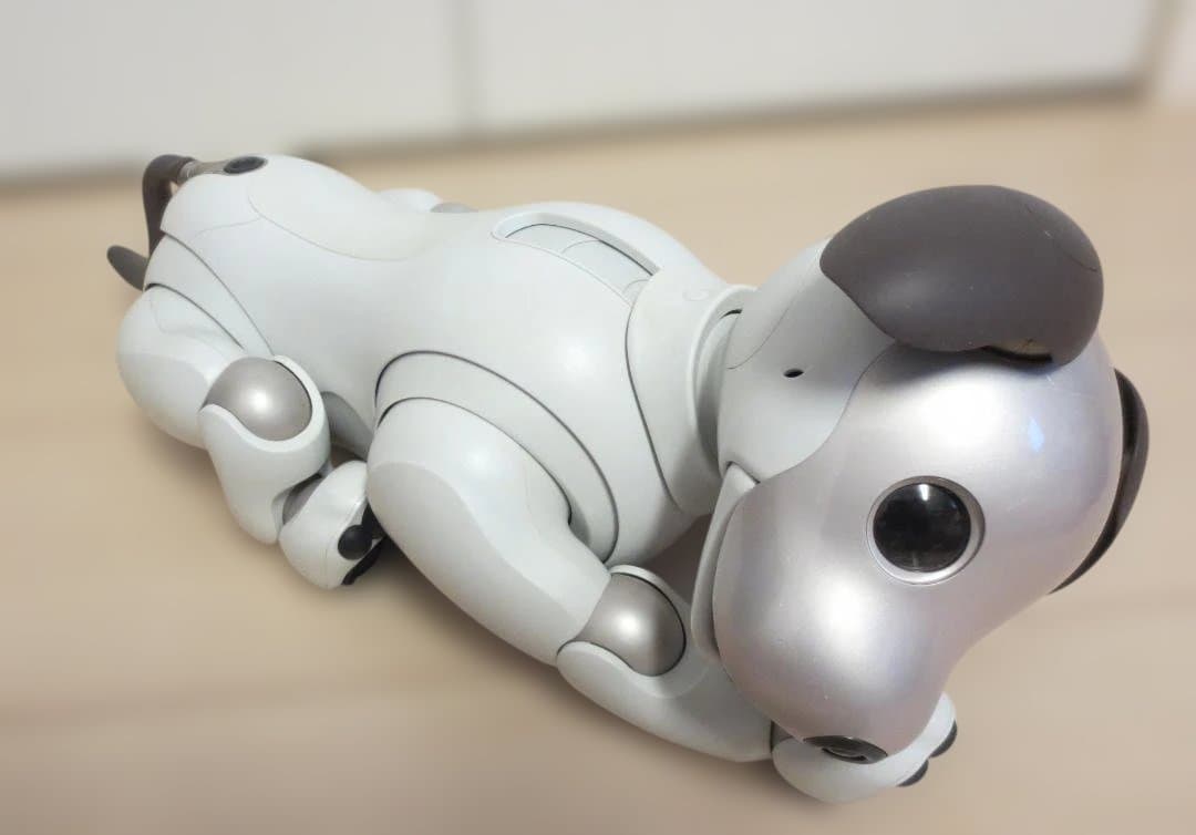 ★Sony aibo ERS-1000 aibo（アイボ）★