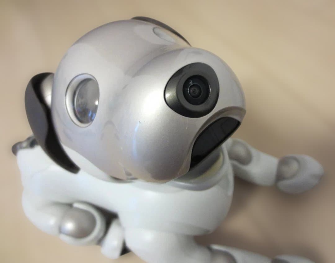 ★Sony aibo ERS-1000 aibo（アイボ）★